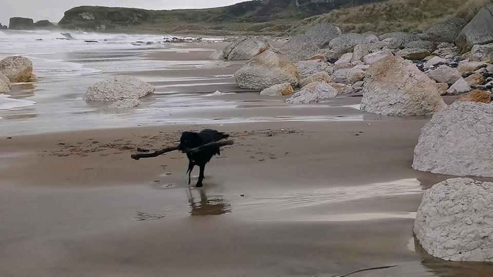 Dunseverick Ramblers Rest Bushmills Esterno foto